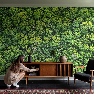 Peel and stick wall mural for kids' room with a forest panorama design