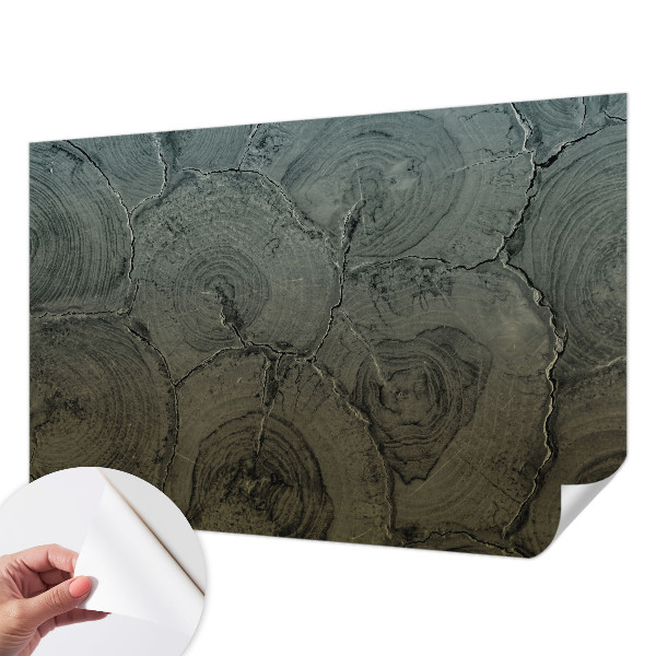 Peel and stick wall mural for bedroom featuring a wooden ring design