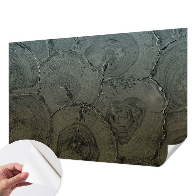 Peel and stick wall mural for bedroom featuring a wooden ring design