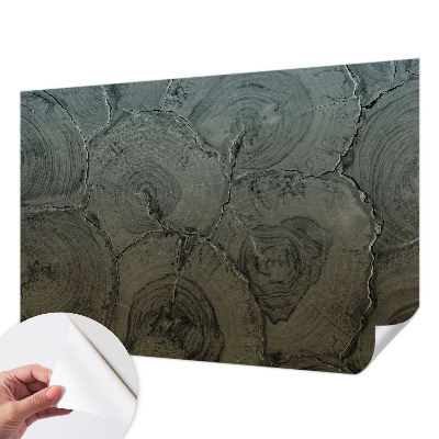 Peel and stick wall mural for bedroom featuring a wooden ring design