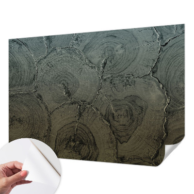 Peel and stick wall mural for bedroom featuring a wooden ring design