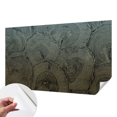 Peel and stick wall mural for bedroom featuring a wooden ring design