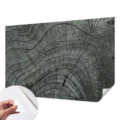 Peel and stick wall mural for living room with a natural wood grain pattern