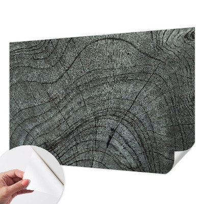 Peel and stick wall mural for living room Grain pattern