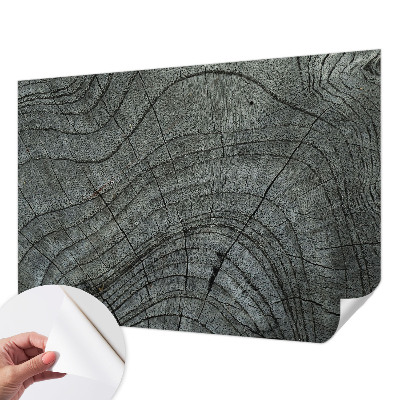 Peel and stick wall mural for living room Grain pattern