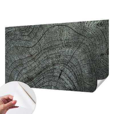 Peel and stick wall mural for living room with a natural wood grain pattern