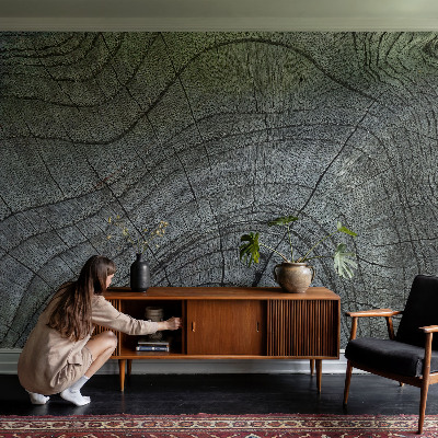 Peel and stick wall mural for living room with a natural wood grain pattern