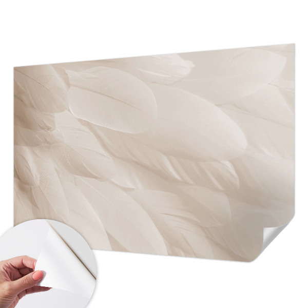 Removable wall mural wallpaper with an ethereal feather pattern