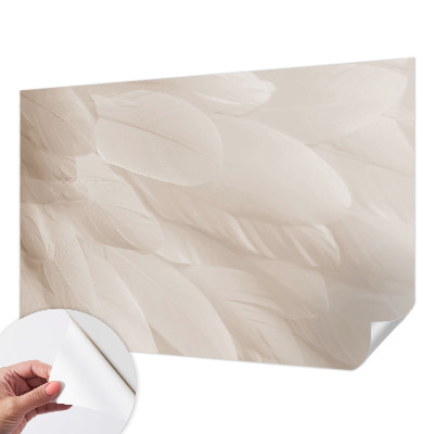 Removable wall mural wallpaper with an ethereal feather pattern