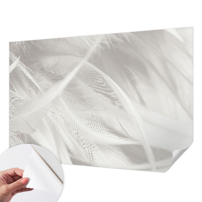 Peel and stick wall mural for living room Subtle feathers