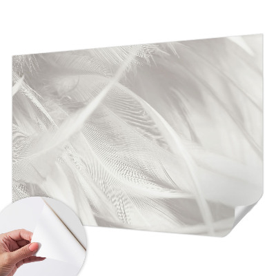Peel and stick wall mural for living room with a subtle feather pattern