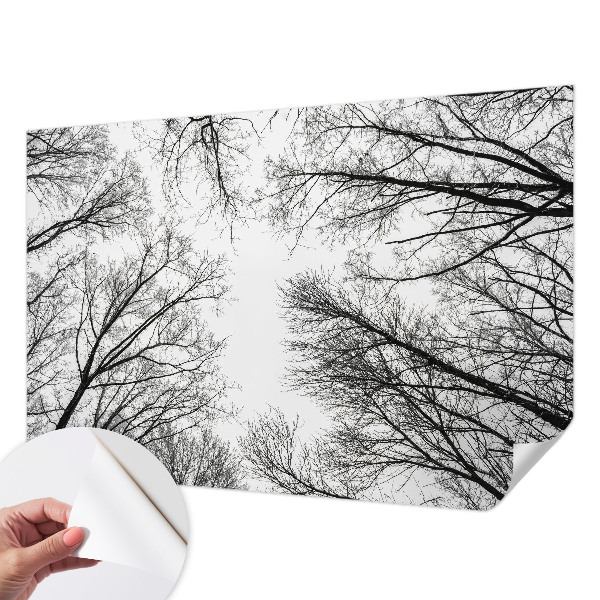 Children's wall mural with a bare branches design
