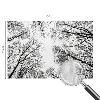 Children's wall mural with a bare branches design