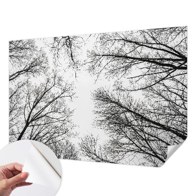 Children's wall mural with a bare branches design