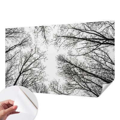 Children's wall mural with a bare branches design