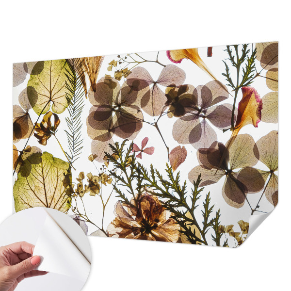 Removable wall mural wallpaper with a natural composition