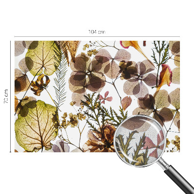 Removable wall mural wallpaper Natural composition