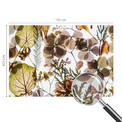 Removable wall mural wallpaper Natural composition