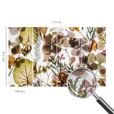 Removable wall mural wallpaper Natural composition