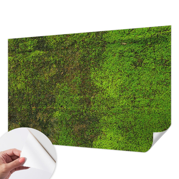 Removable wall mural wallpaper Green carpet