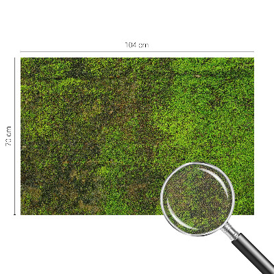 Removable wall mural wallpaper with a green carpet pattern