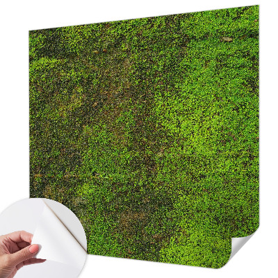 Removable wall mural wallpaper with a green carpet pattern