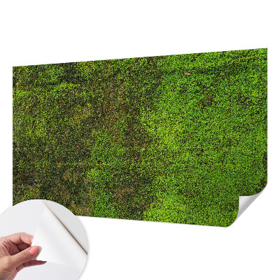 Removable wall mural wallpaper with a green carpet pattern