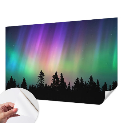 Peel and stick wall mural for living room Magical sky