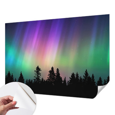 Peel and stick wall mural for living room featuring a magical sky design