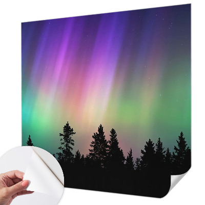 Peel and stick wall mural for living room featuring a magical sky design