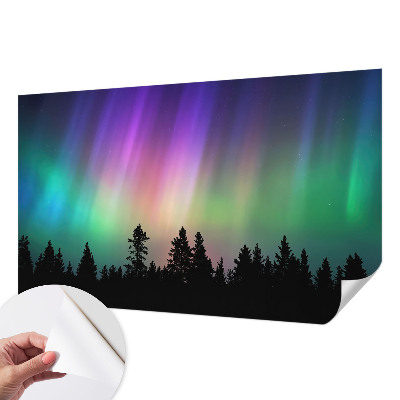 Peel and stick wall mural for living room Magical sky