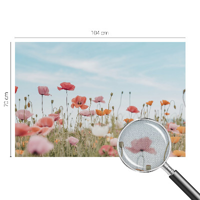 Nursery wall mural with a poppy flower design