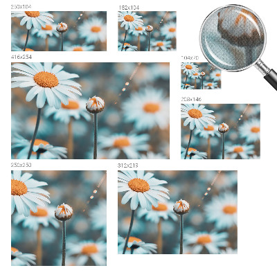 Stick-on wall mural with a chamomile design