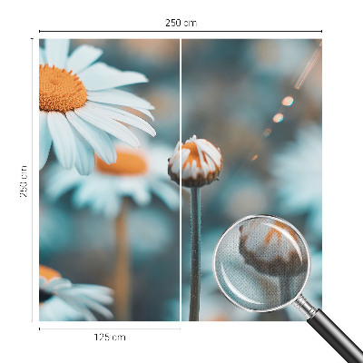 Stick-on wall mural Chamomile delicacy