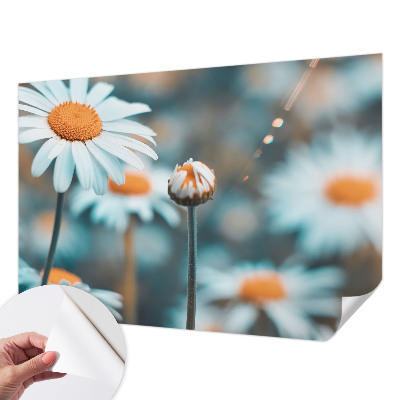 Stick-on wall mural with a chamomile design