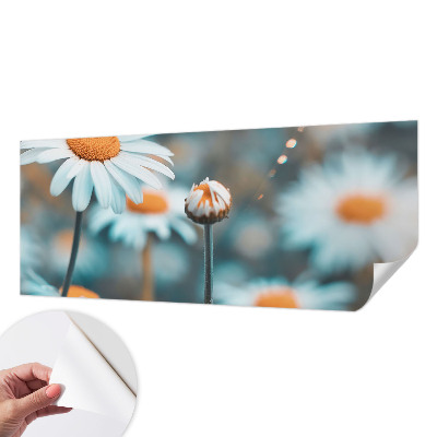 Stick-on wall mural with a chamomile design