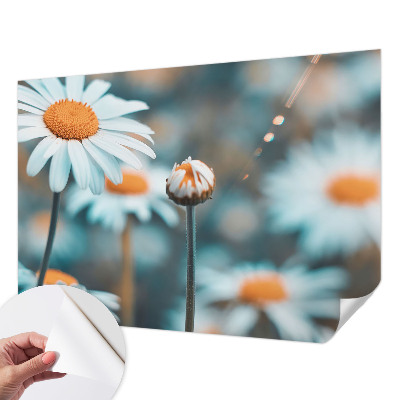 Stick-on wall mural with a chamomile design