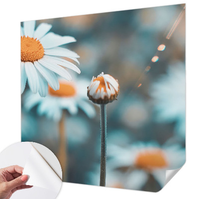 Stick-on wall mural Chamomile delicacy