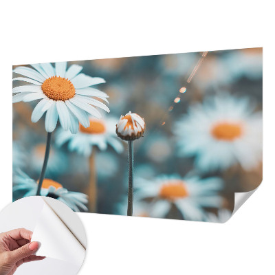 Stick-on wall mural with a chamomile design