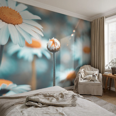 Stick-on wall mural Chamomile delicacy