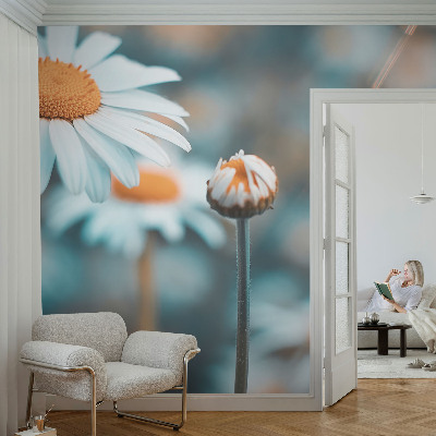 Stick-on wall mural Chamomile delicacy