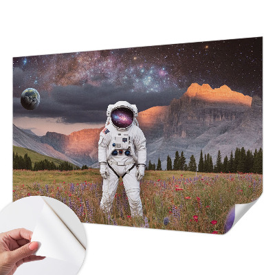 Peel and stick wallpaper mural with a cosmic landscape design