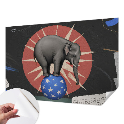 Peel and stick wall mural featuring a circus elephant illustration
