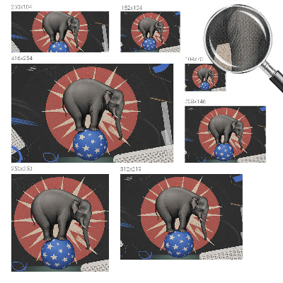 Peel and stick wall mural featuring a circus elephant illustration