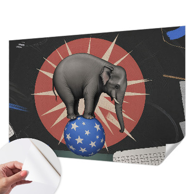 Peel and stick wall mural featuring a circus elephant illustration