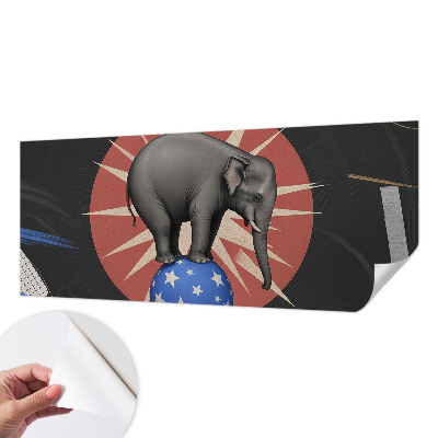 Peel and stick wall mural featuring a circus elephant illustration
