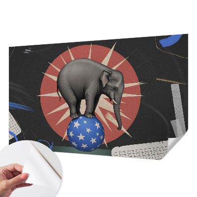 Peel and stick wall mural featuring a circus elephant illustration