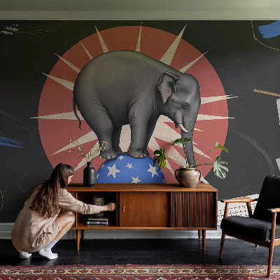 Peel and stick wall mural featuring a circus elephant illustration