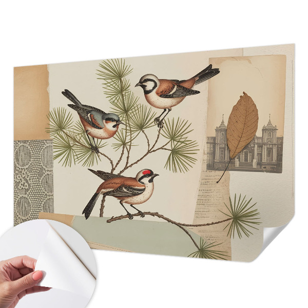 Self-adhesive photo wallpaper with a birds collage design