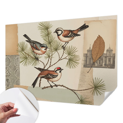 Self-adhesive photo wallpaper with a birds collage design